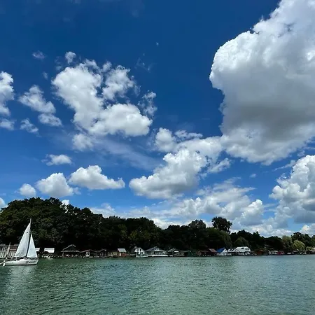 Loup 1981 * Bezanija