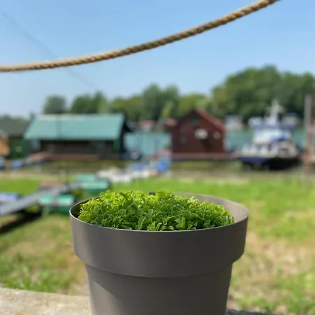 Holiday home Loup 1981