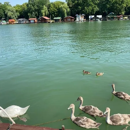 Holiday home Loup 1981 *