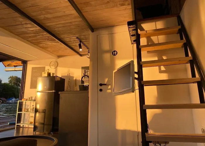 Loup 1981 * Bezanija