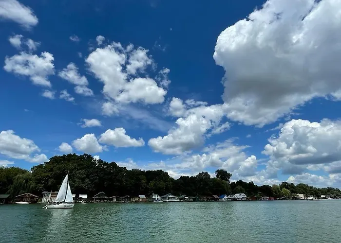 Loup 1981 * Bezanija